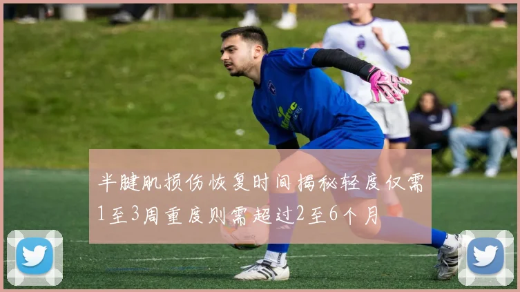 半腱肌损伤恢复时间揭秘轻度仅需1至3周重度则需超过2至6个月